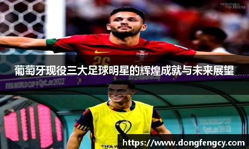 葡萄牙现役三大足球明星的辉煌成就与未来展望