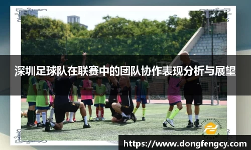 深圳足球队在联赛中的团队协作表现分析与展望